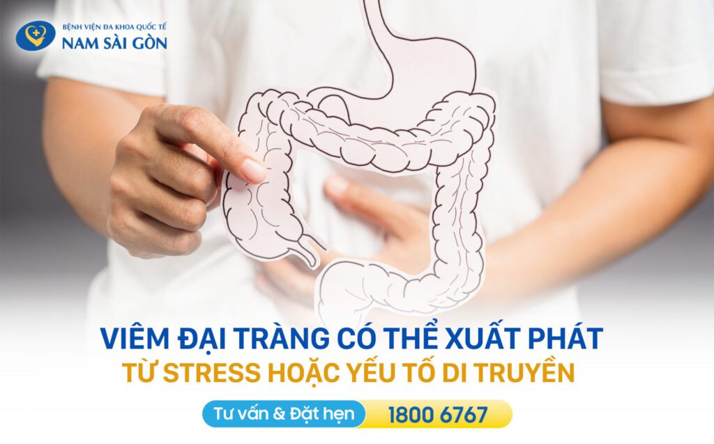bệnh tiêu hóa thường gặp tại đại tràng