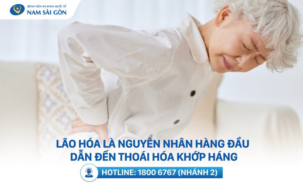 nguyen nhan thoai hoa khop hang