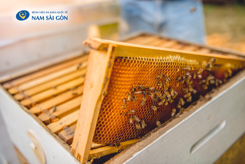 ONG VÒ VẼ CHÍCH NGUY HIỂM THẾ NÀO? 4 huong dan so cuu khi ong chich