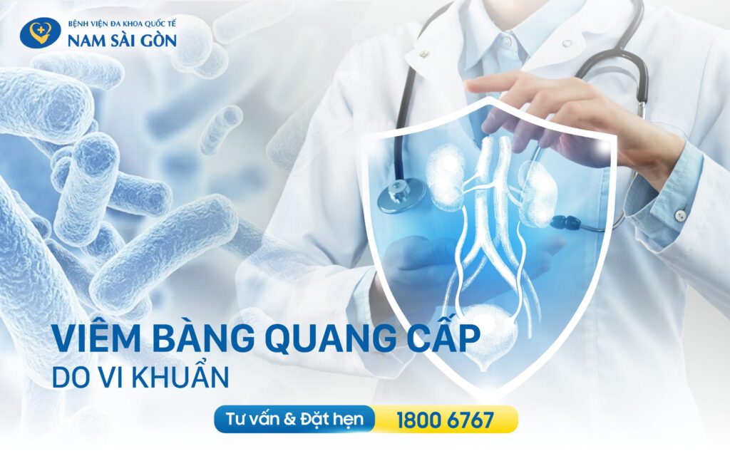 Viêm bàng quang cấp do vi khuẩn