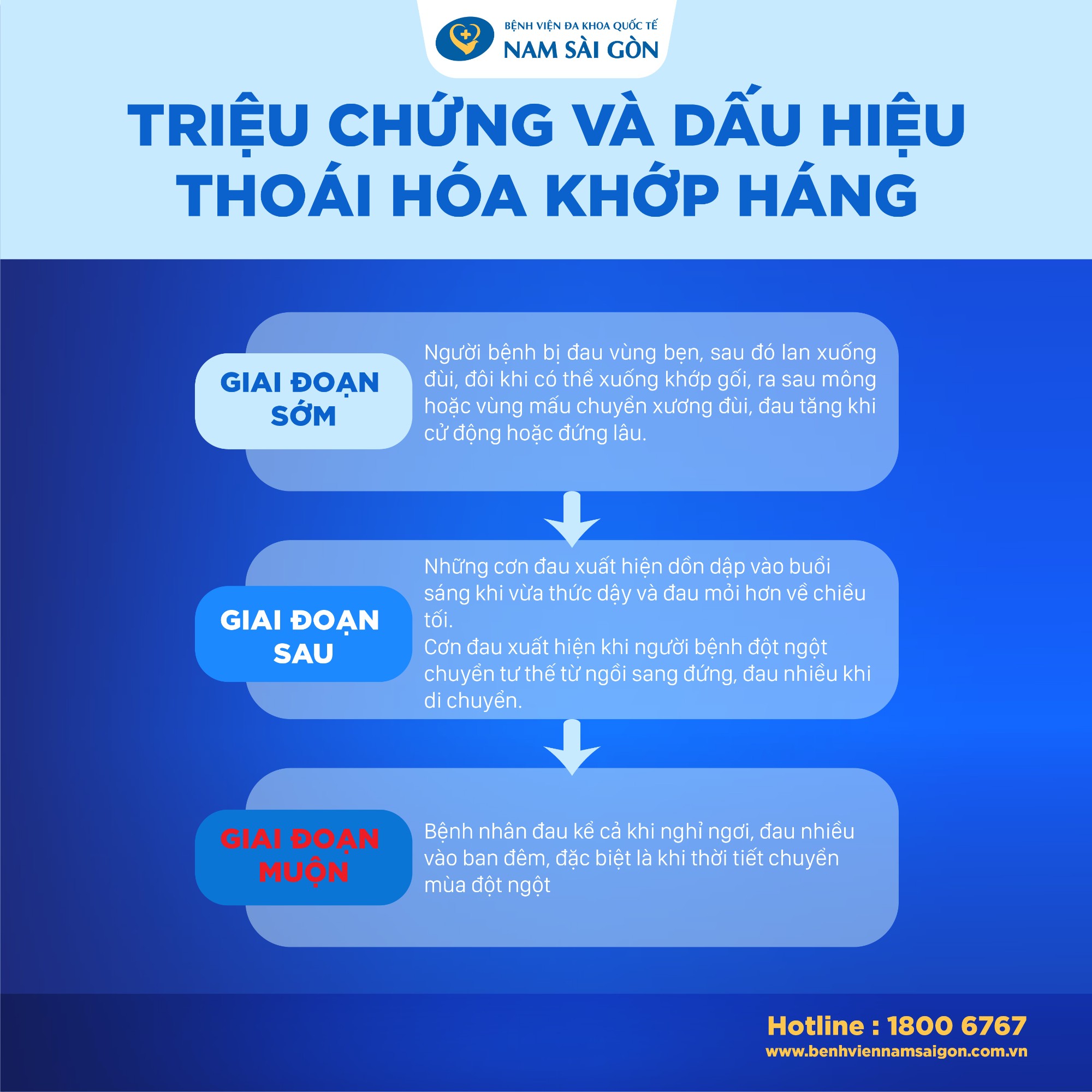 794 thoai hoa khop hang 03 1 1
