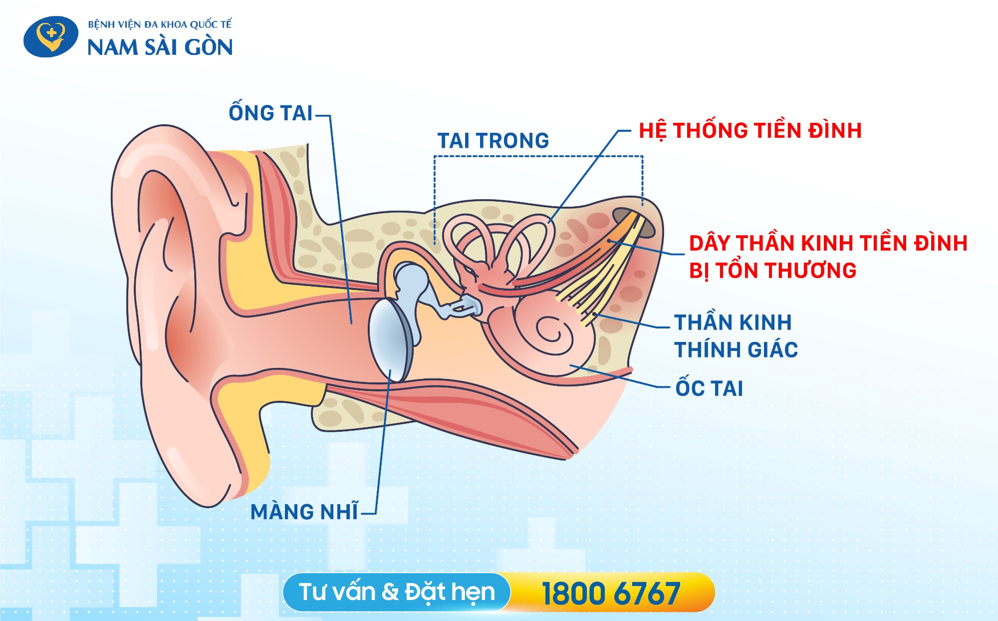 seo thiet ke hinh anh bai dang roi loan tien dinh 02 1