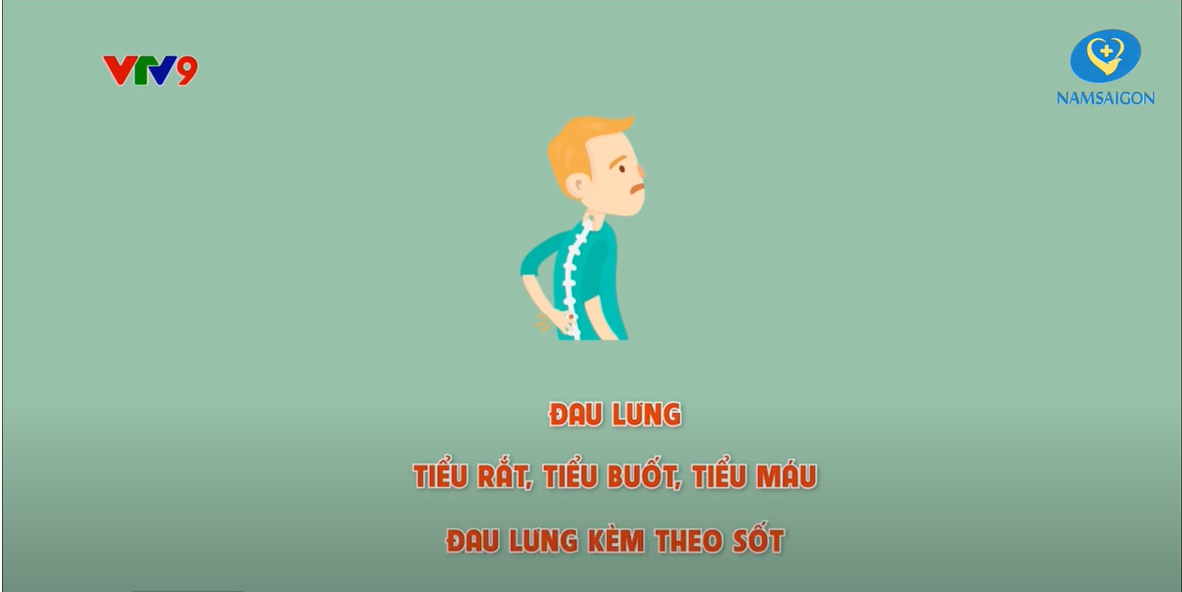 soi nieu