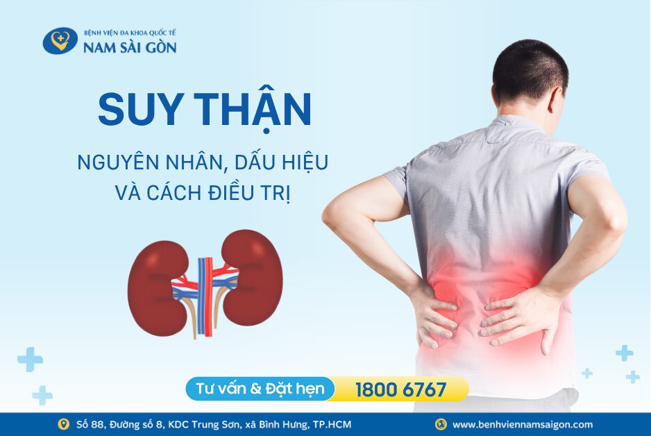 SUY THẬN: NGUYÊN NHÂN, DẤU HIỆU VÀ CÁCH ĐIỀU TRỊ 