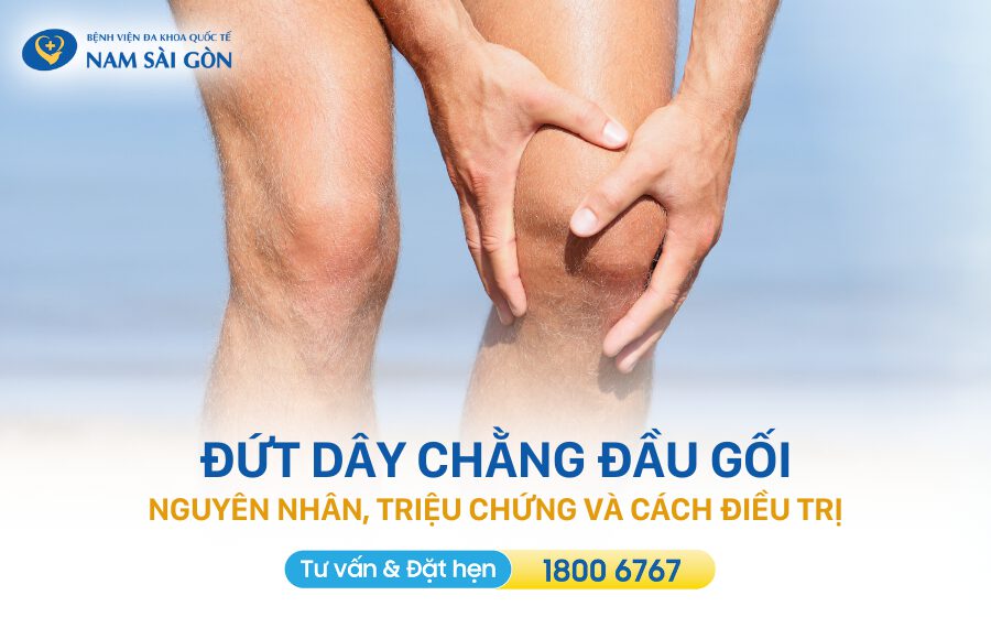 dut-day-chang-dau-goi-nguyen-nhan-trieu-chung-cach-dieu-tri
