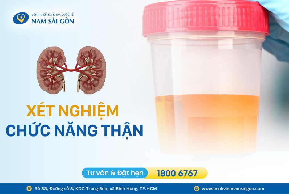 CÁC LOẠI XÉT NGHIỆM CHỨC NĂNG THẬN PHỔ BIẾN