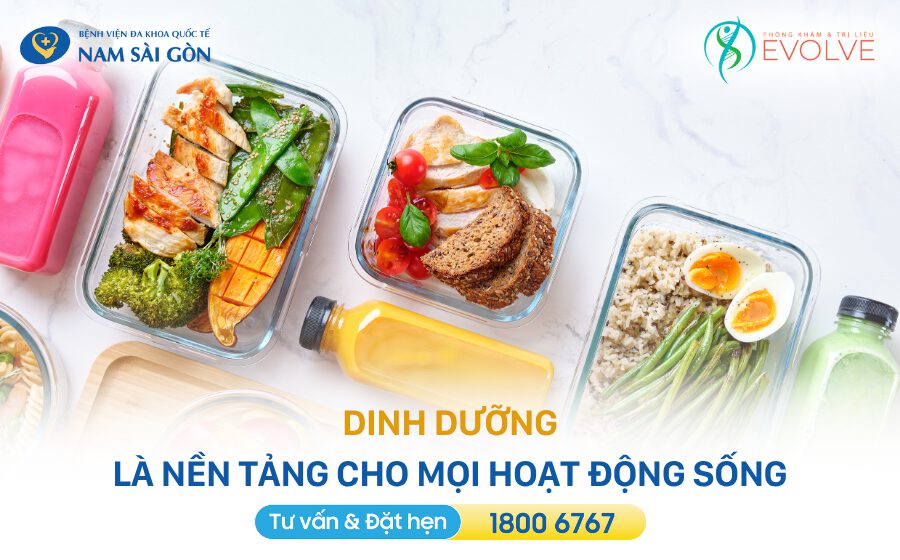 TỪ BỮA ĂN ĐẾN SỨC KHỎE: SỨC MẠNH CỦA SỰ KẾT HỢP THỰC PHẨM 6 Dinh duong la nen tang