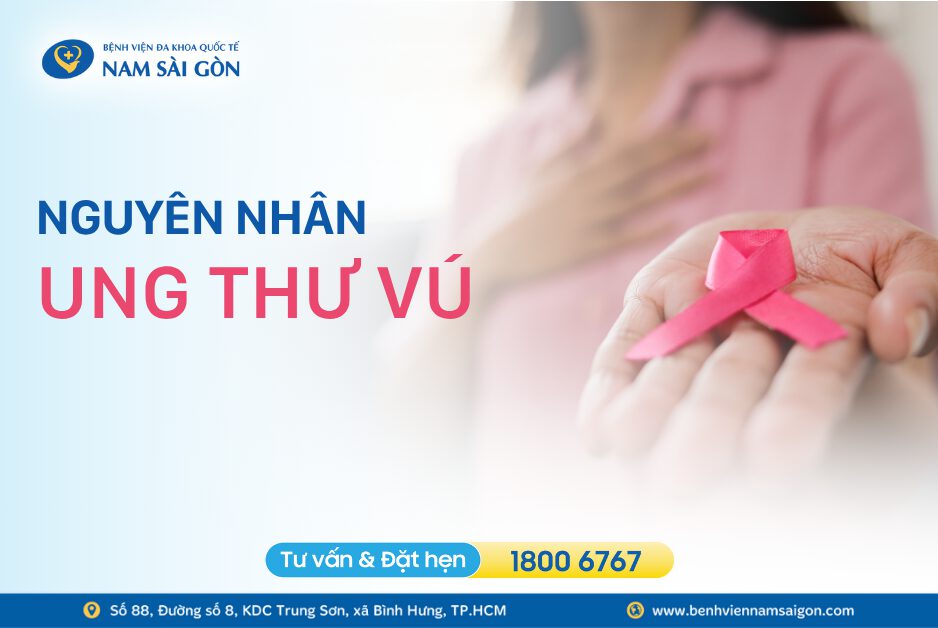 NGUYÊN NHÂN UNG THƯ VÚ – HIỂU RÕ NGUY CƠ ĐỂ PHÒNG NGỪA NGUYÊN NHÂN UNG THƯ VÚ – HIỂU RÕ NGUY CƠ ĐỂ PHÒNG NGỪA