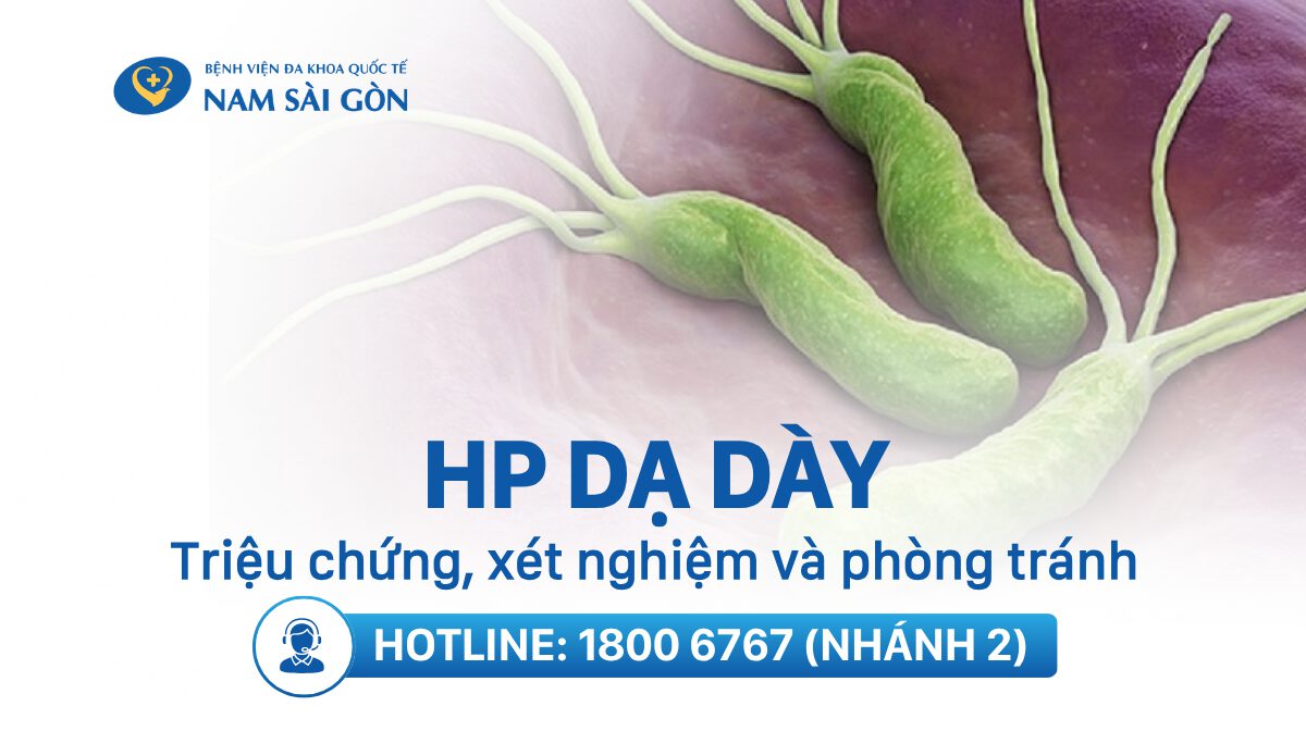 VI KHUẨN HP DẠ DÀY LÀ GÌ? CÓ LÂY KHÔNG? TRIỆU CHỨNG VÀ ĐIỀU TRỊ
