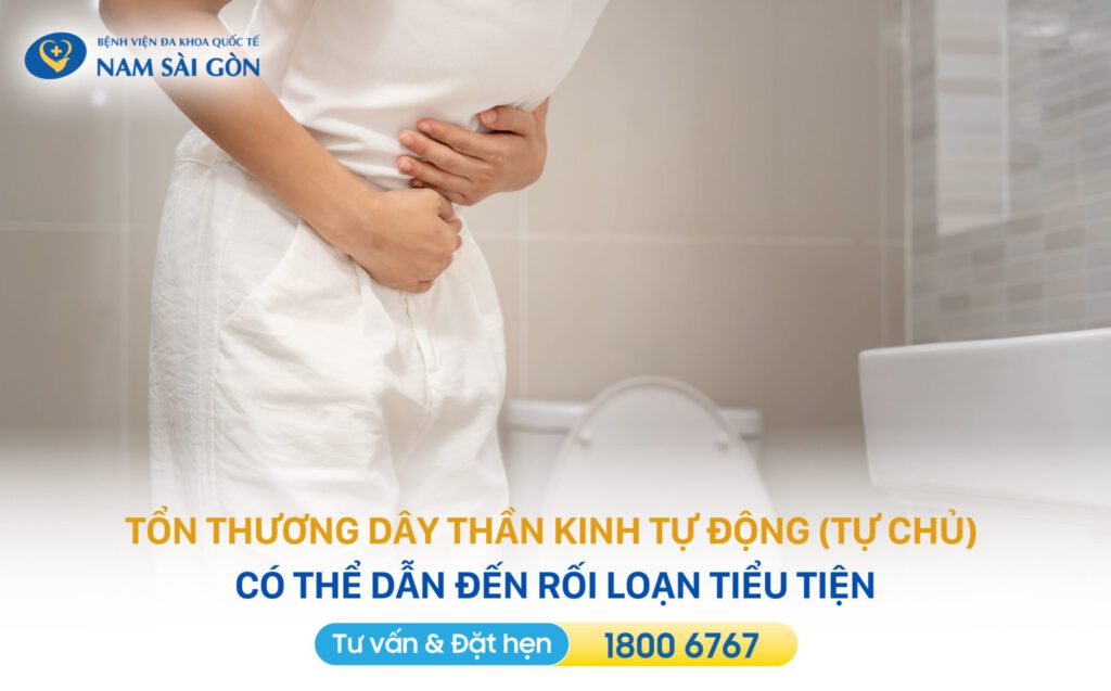 BỆNH THẦN KINH NGOẠI BIÊN - TRIỆU CHỨNG, NGUYÊN NHÂN VÀ PHƯƠNG PHÁP ĐIỀU TRỊ 3 bệnh lý thần kinh ngoại biên