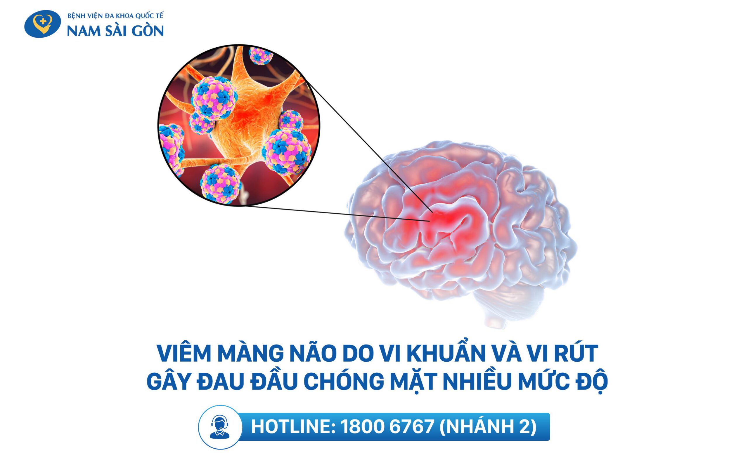 đau đầu chóng mặt do đâu