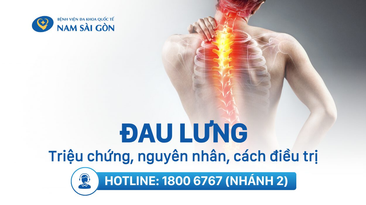 dau-lung-la-gi