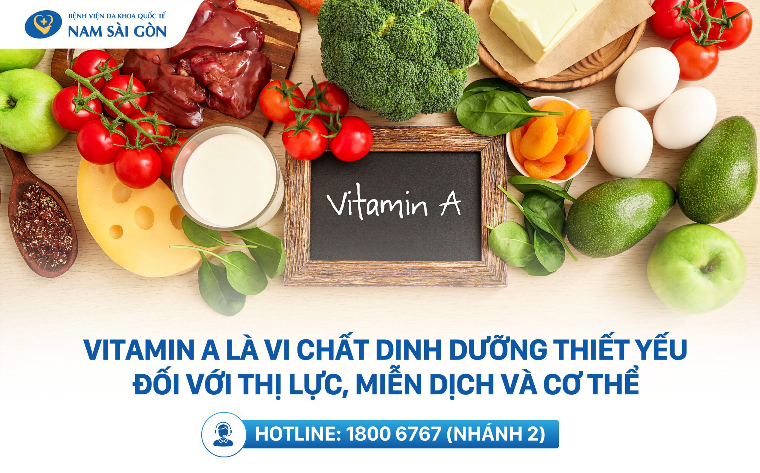 Vitamin A là gì